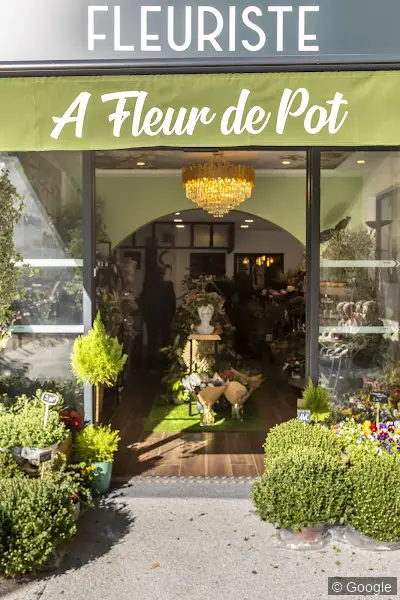 Photo de A Fleur de Pot, fleuriste à Toulouse