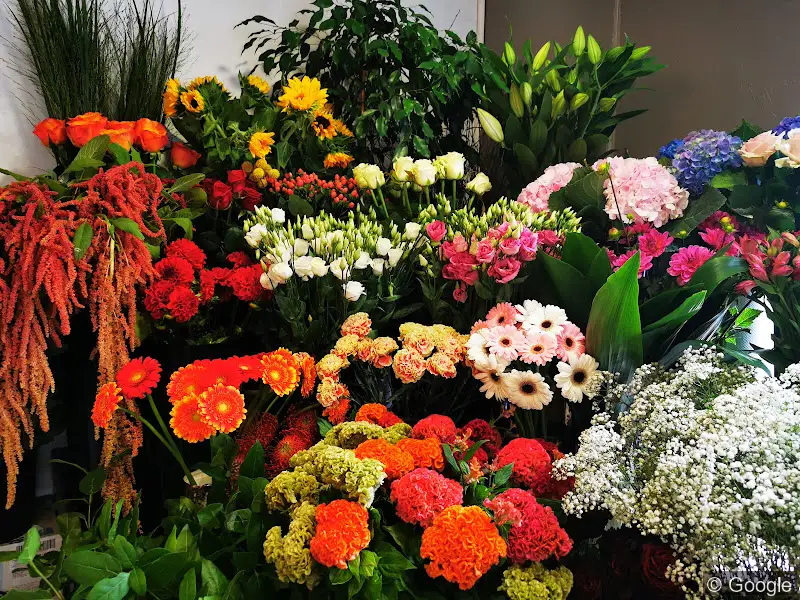 Photo 3 de A Fleur de Pot, fleuriste à Toulouse
