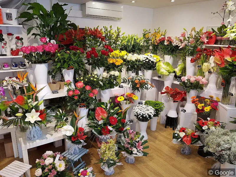 Photo 3 de Aqua Fleurs, fleuriste à Lyon