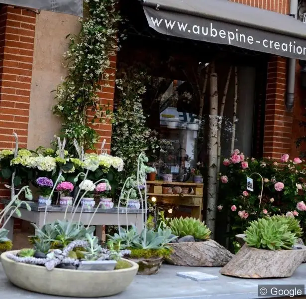 Photo de Aubépine Créations Fleuriste, fleuriste à Toulouse