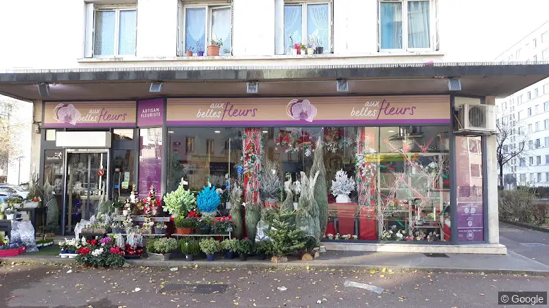 Photo de Aux Belles Fleurs, fleuriste à Lyon