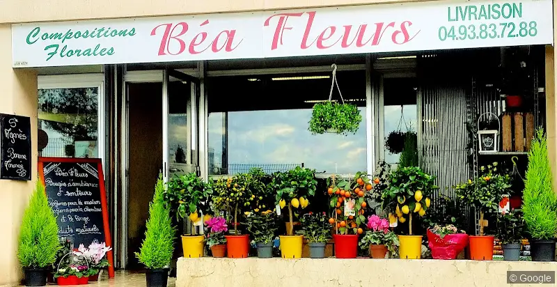 Photo de Béa Fleurs, fleuriste à Nice