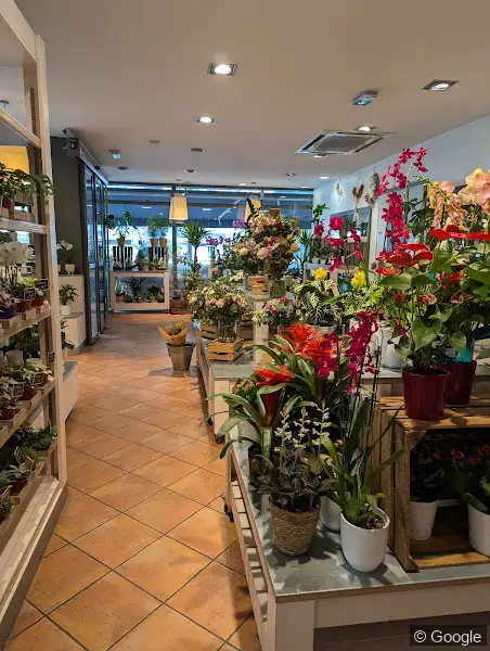 Photo 2 de Bonheur floral, fleuriste à Lyon