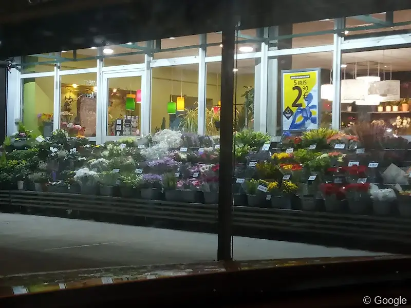 Photo de Carrément Fleurs - Fleuriste Toulouse Fronton 31 - Livraison de fleurs à, fleuriste à Toulouse