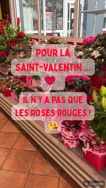 Photo 3 de Carrément Fleurs - Fleuriste Toulouse Fronton 31 - Livraison de fleurs à, fleuriste à Toulouse
