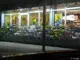 Photo de Carrément Fleurs - Fleuriste Toulouse Fronton 31 - Livraison de fleurs à, fleuriste à Toulouse
