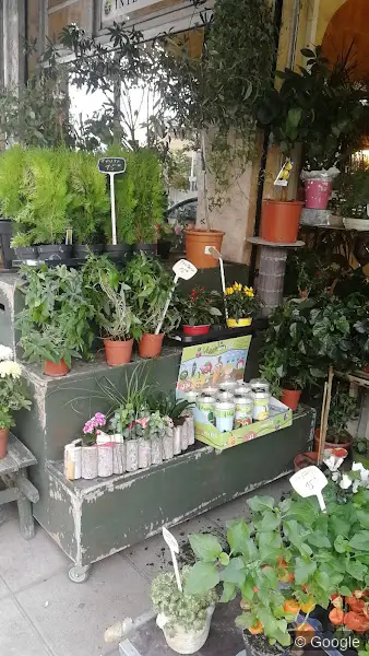 Photo 2 de Diamant Fleurs, fleuriste à Nice