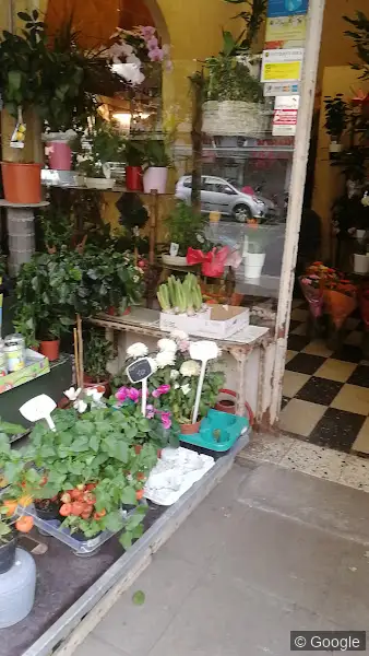 Photo 3 de Diamant Fleurs, fleuriste à Nice