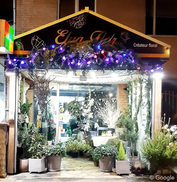 Photo de Elya Flor, fleuriste à Toulouse