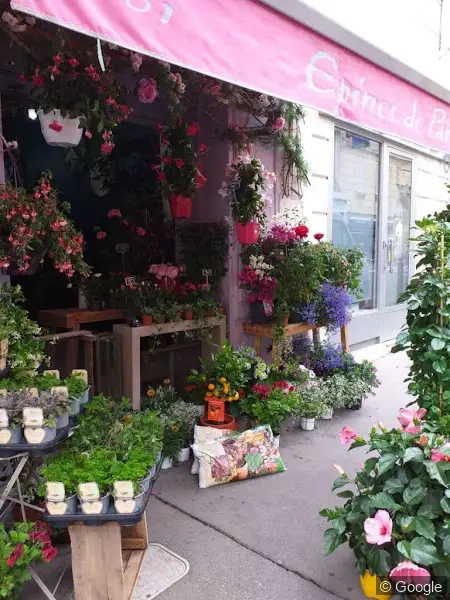 Photo de Épines De Paradis - Fleuriste Marseille, fleuriste à Marseille