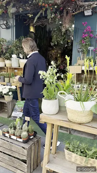 Photo 3 de Épines De Paradis - Fleuriste Marseille, fleuriste à Marseille
