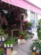 Photo de Épines De Paradis - Fleuriste Marseille, fleuriste à Marseille