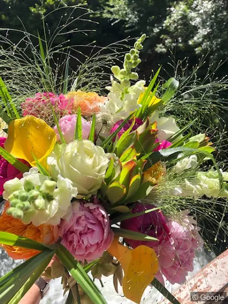 Photo 3 de Fleur de Vie - Fleuriste Toulouse, fleuriste à Toulouse