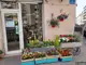 Photo de Fleurs des Champs, fleuriste à Marseille
