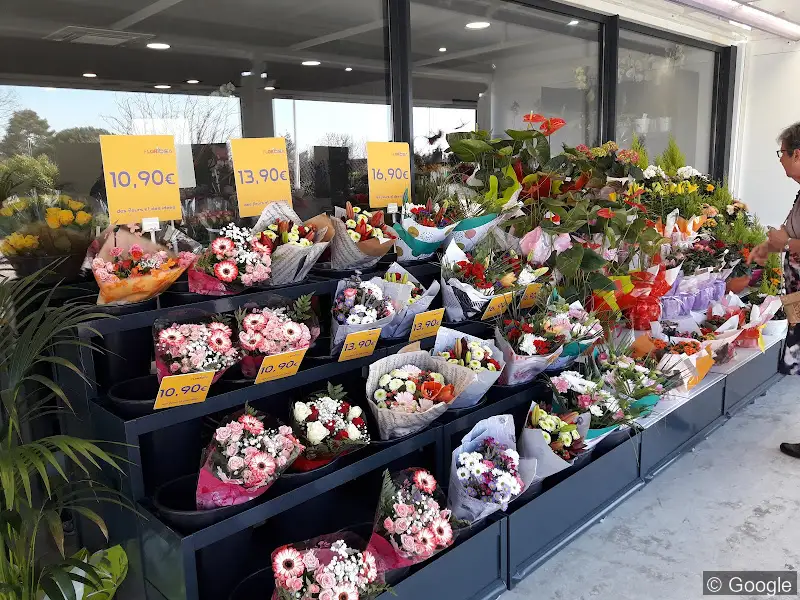 Photo 2 de Floridéa, fleuriste à Toulouse