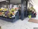 Photo de Floridéa, fleuriste à Toulouse