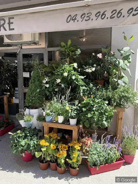 Photo 3 de France Flore, fleuriste à Nice