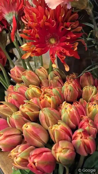 Photo 3 de Gali M -Atelier Fleuriste, fleuriste à Toulouse