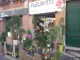Photo de Greg - Artisan Fleuriste Toulouse, fleuriste à Toulouse