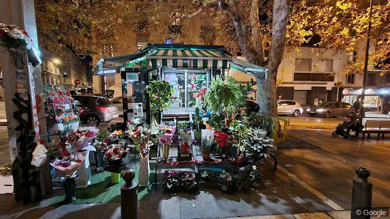 Photo 2 de Kiosque à fleurs Belle-de-mai, fleuriste à Marseille