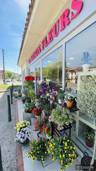 Photo de LA MAISON FLEURS, fleuriste à Toulouse