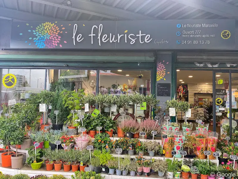 Photo de Le Fleuriste, fleuriste à Marseille