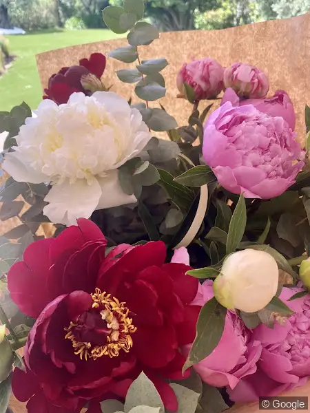 Photo 3 de Le Fleuriste, fleuriste à Marseille