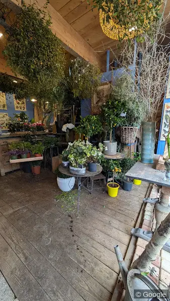 Photo 2 de Les fleurs de Monsieur Rosa Bonheur, fleuriste à Toulouse