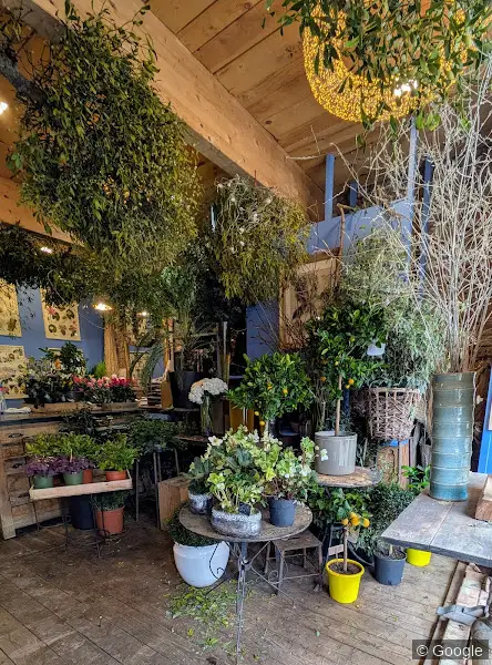 Photo 3 de Les fleurs de Monsieur Rosa Bonheur, fleuriste à Toulouse