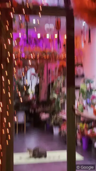 Photo 3 de Les fleurs des 5 Avenues, fleuriste à Marseille