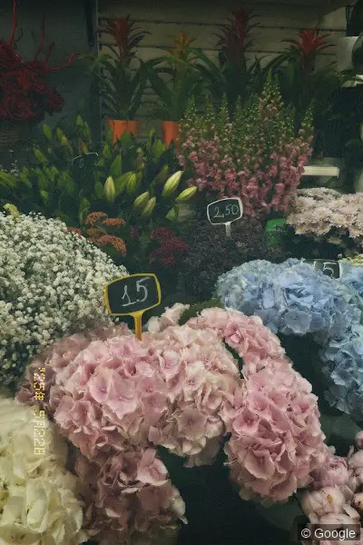 Photo 3 de LES FLEURS DU MONDE - Fleuriste Nice, fleuriste à Nice