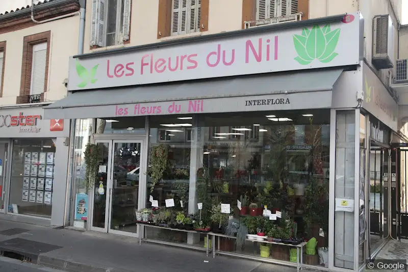 Photo de LES FLEURS DU NIL, fleuriste à Toulouse
