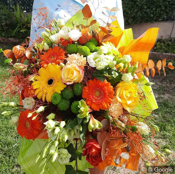 Photo 3 de LES FLEURS DU NIL, fleuriste à Toulouse