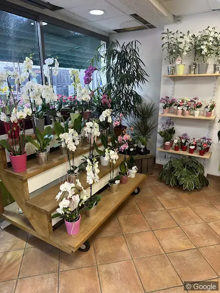 Photo de Liberty Fleurs, fleuriste à Toulouse