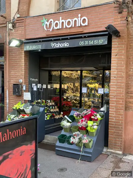 Photo de Mahonia Fleuriste, fleuriste à Toulouse