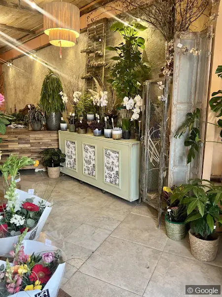 Photo 2 de Maison Azzopardi Préf, fleuriste à Marseille