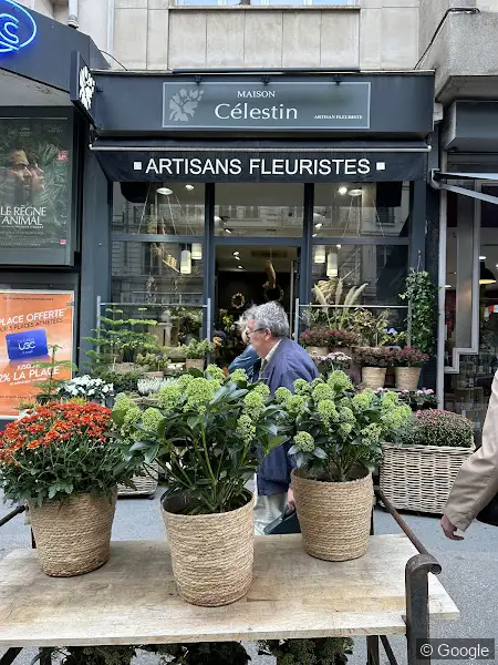 Photo de MAISON CELESTIN, fleuriste à Lyon