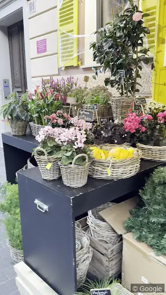 Photo 3 de Maison Fiori, fleuriste à Nice