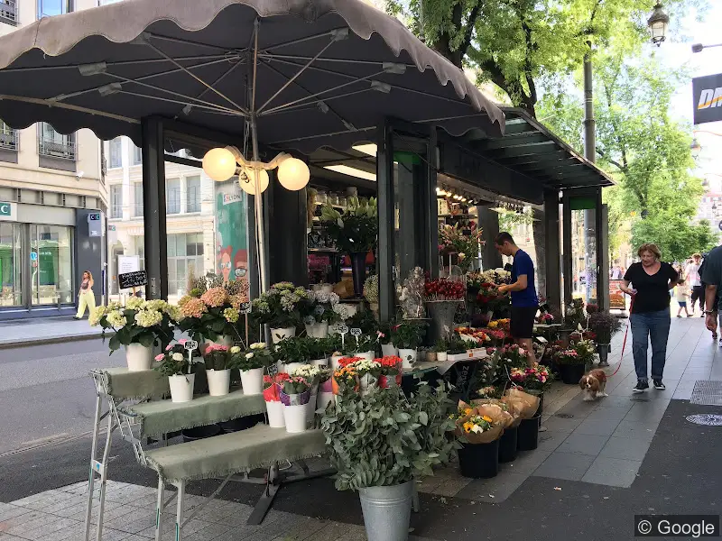 Photo de République Fleurs, fleuriste à Lyon