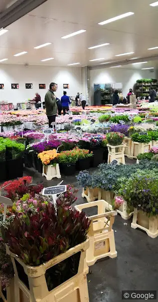 Photo 2 de Stafflor, fleuriste à Toulouse
