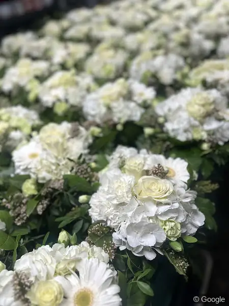Photo 2 de VEGETAL fleuriste créateur, fleuriste à Nice